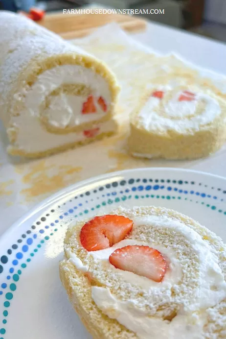 Japanese roll cake – EVERYTHING You Need To Know