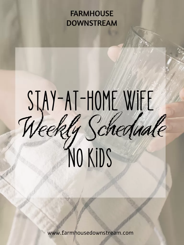 Stay at Home Wife (NO KIDS) – Weekly Housekeeping