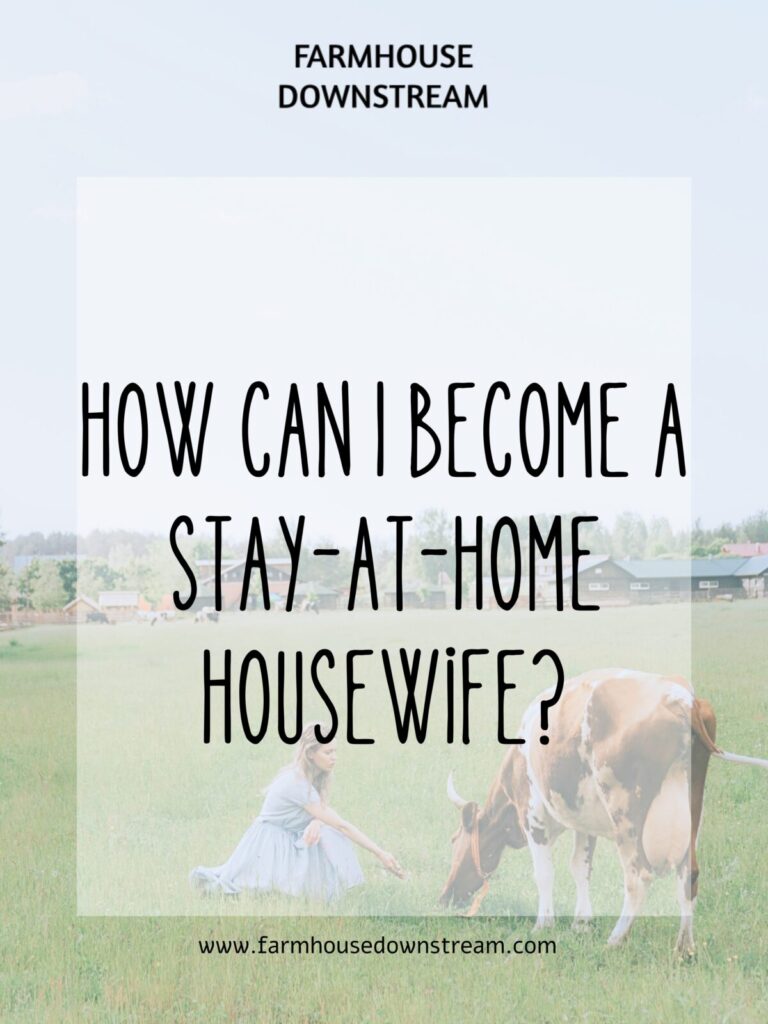 How To Become A Stay At Home Wife