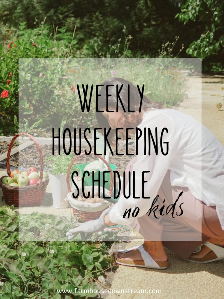 stay at home wife no kids weekly housekeeping scheduale